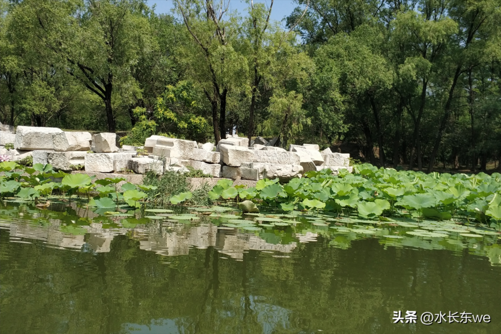 圆明园门票多少钱一张？圆明园门票能当天买吗？