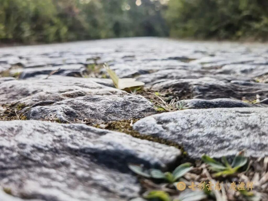 小河淌水是云南哪个地方的民歌？小河淌水背后的故事