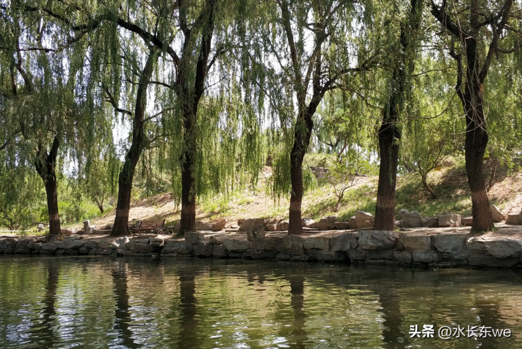 圆明园门票多少钱一张？圆明园门票能当天买吗？