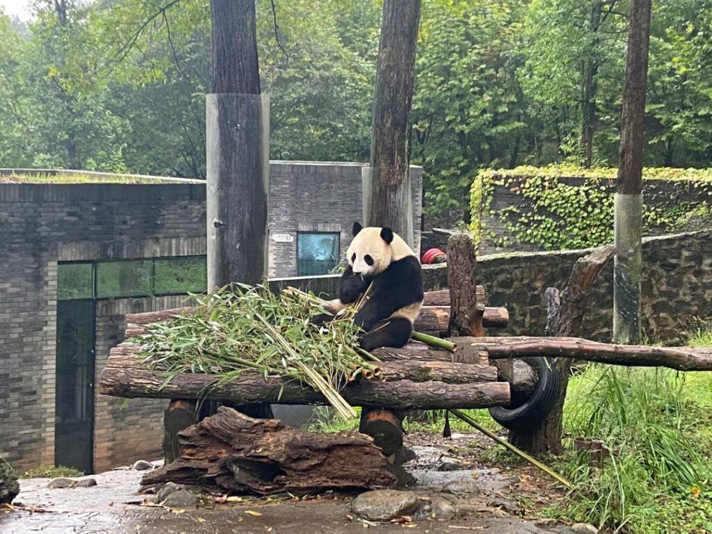 蓉城是哪个城市？蓉城在哪里属于哪个省