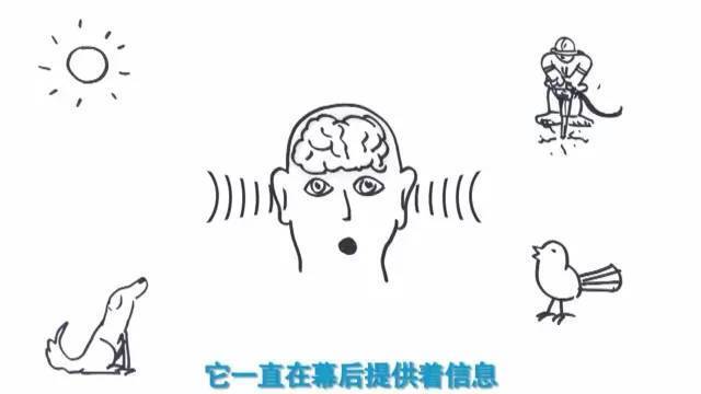 imax3d和3d的区别大吗？imax3d和3d哪个更好？