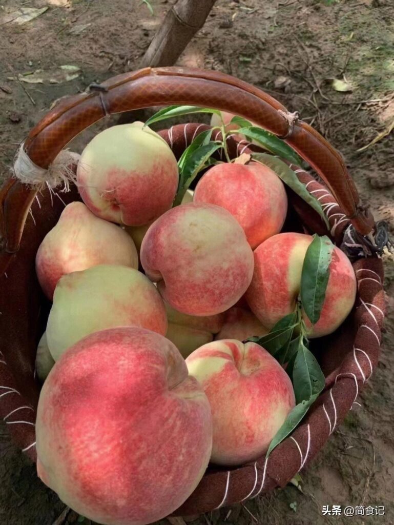 水蜜桃产地在哪里最好？哪里的桃子最好吃最甜？