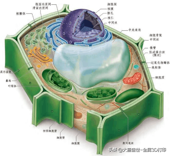 3d打印可以用哪些材料？常用3d打印材料及特点