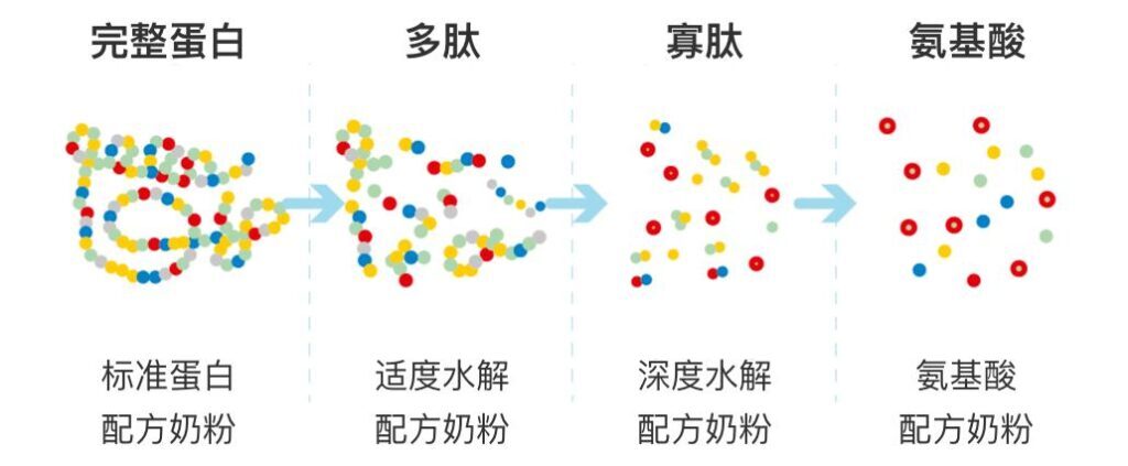 深度水解奶粉有哪些？深度水解奶粉什么意思？