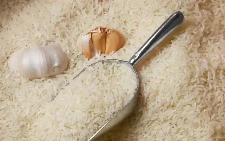 大米发霉怎么处理？如何判断大米是否发霉？