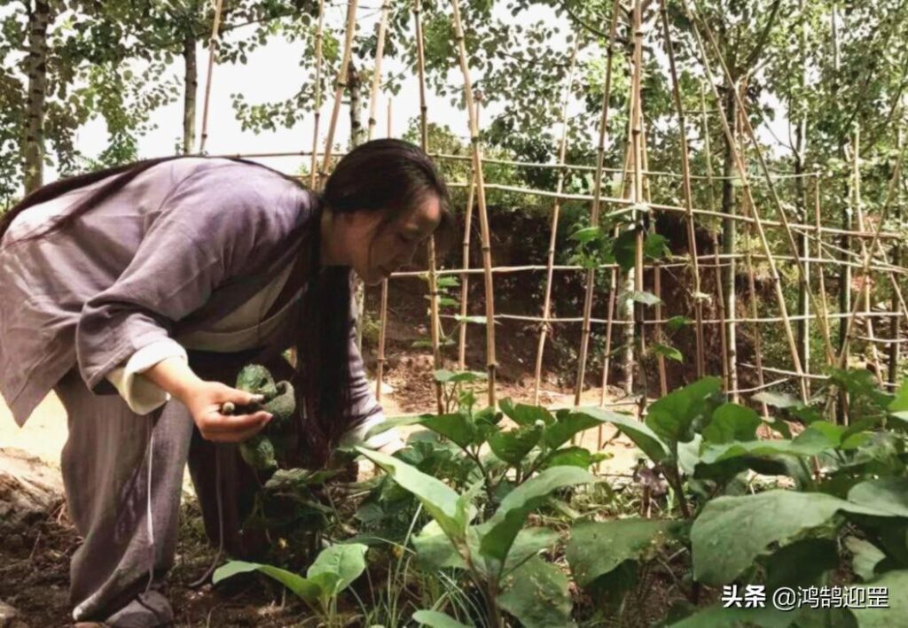 什么是双修？双修是怎么进行的？