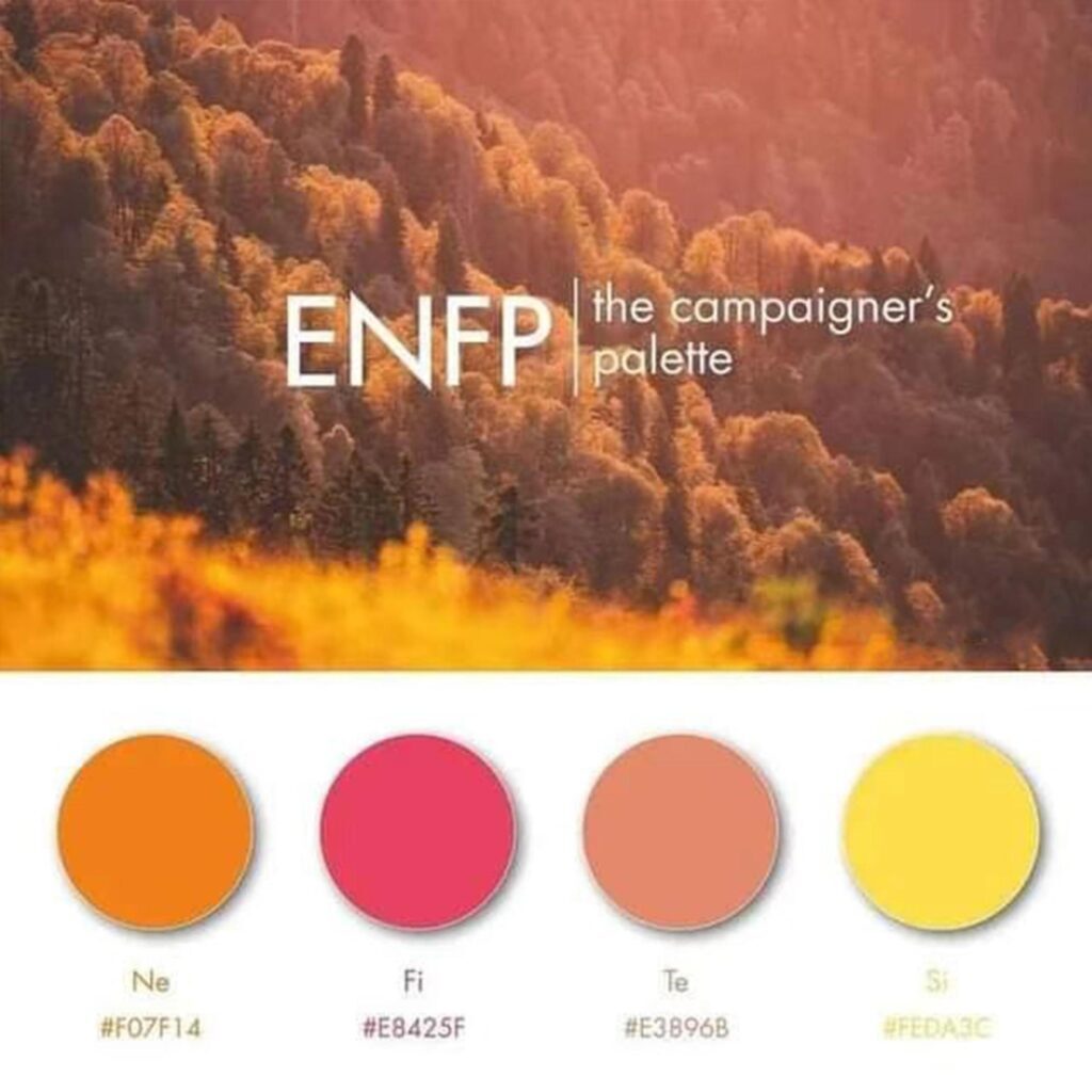 ENFP是什么意思？enfp的网络用语