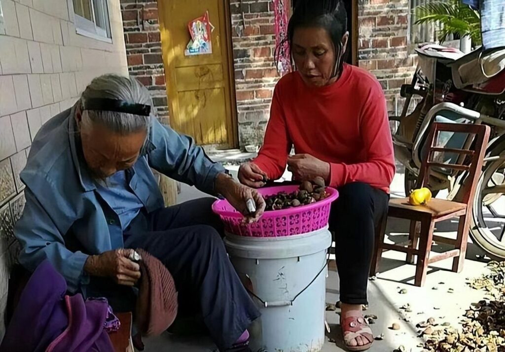 茶油多少钱一斤？茶油的作用与功效