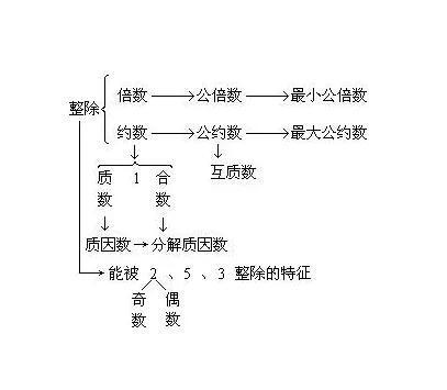 互质是什么意思？互质数的概念