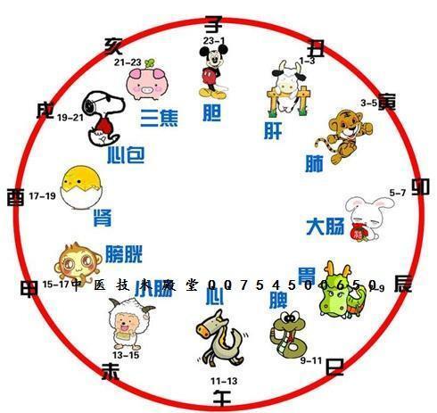 五禽戏是哪五种动物？五禽戏和八段锦哪个好？