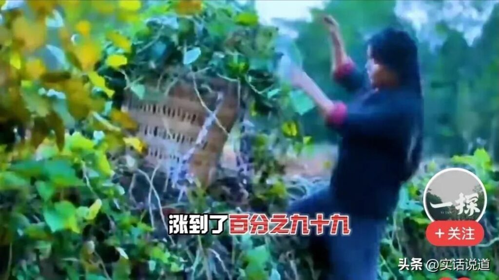 李子柒事件怎么样了？李子柒事件结果