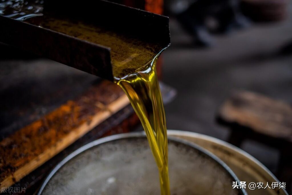 油茶籽油多少钱一斤？油茶籽油的食用方法