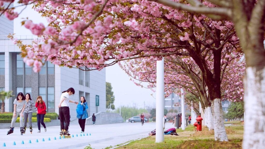 中国药科大学有专科专业吗？中国药科大学专科好就业吗？