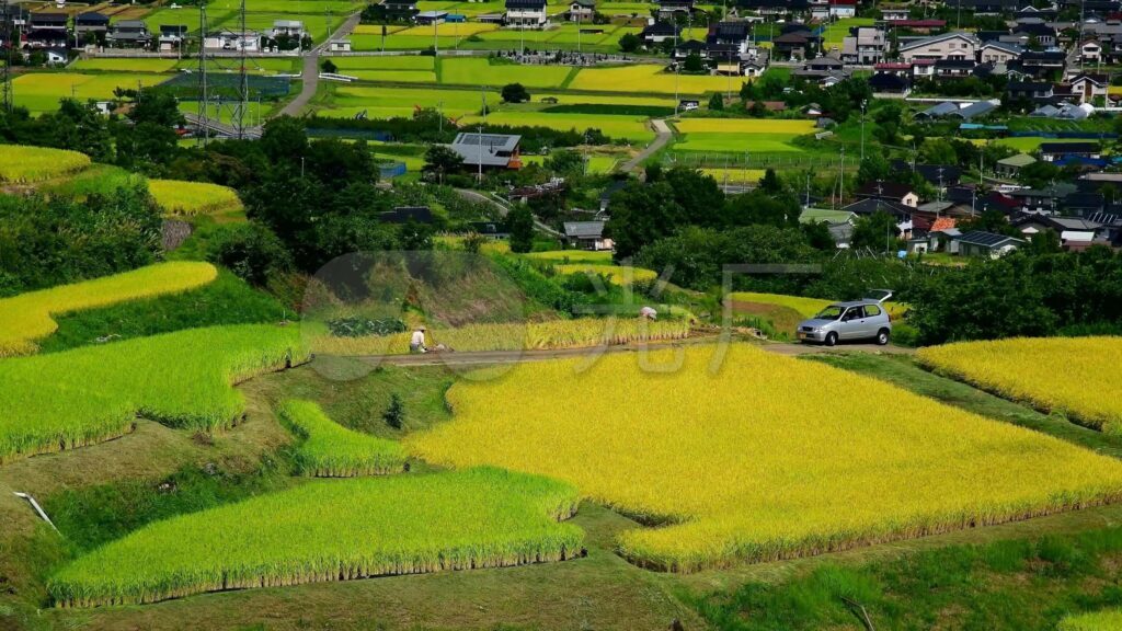 农田每亩补贴多少钱？高标准农田建设补贴政策