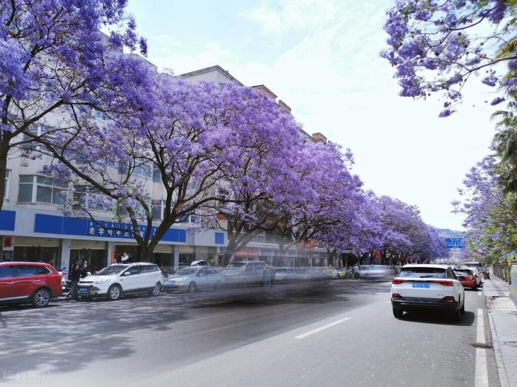 五月份适合去哪旅游？5月好玩的旅游城市排行