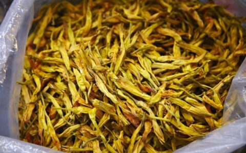 霍山黄芽属于什么茶？霍山黄芽属于黄茶吗？
