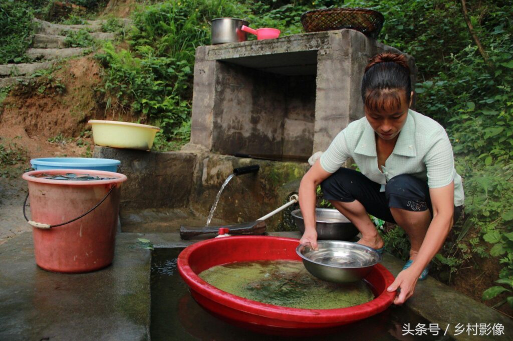 阿屎木又叫神仙树对吗？神仙木的功效与作用
