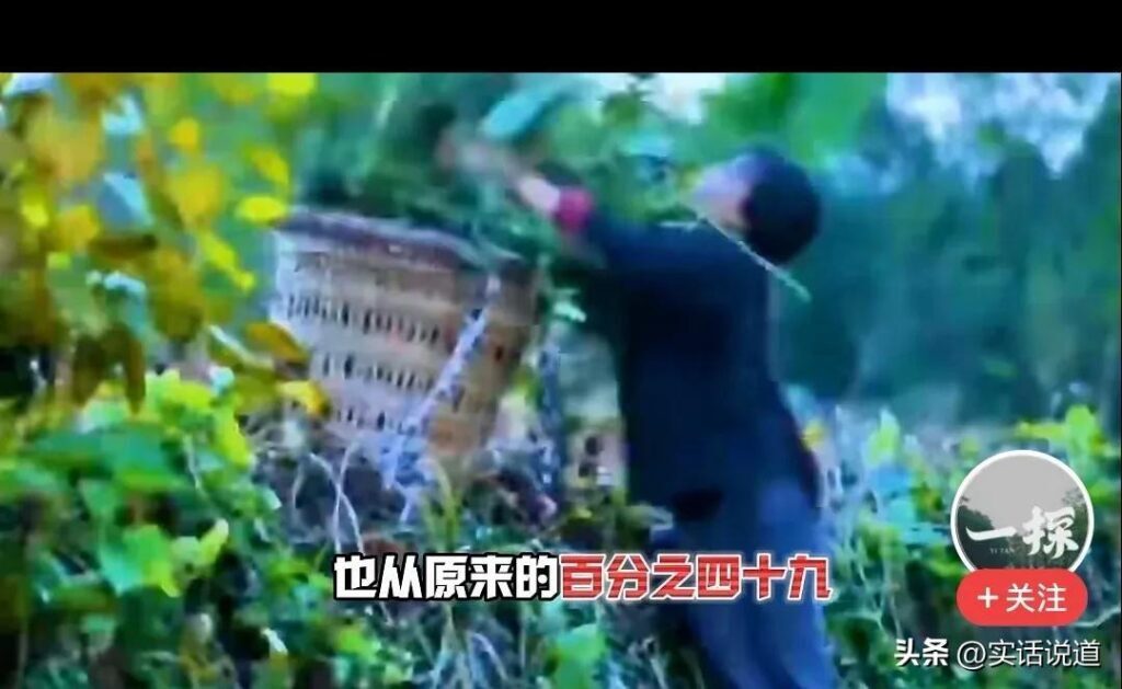 李子柒事件怎么样了？李子柒事件结果