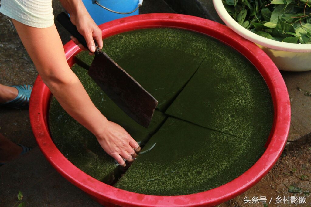 阿屎木又叫神仙树对吗？神仙木的功效与作用