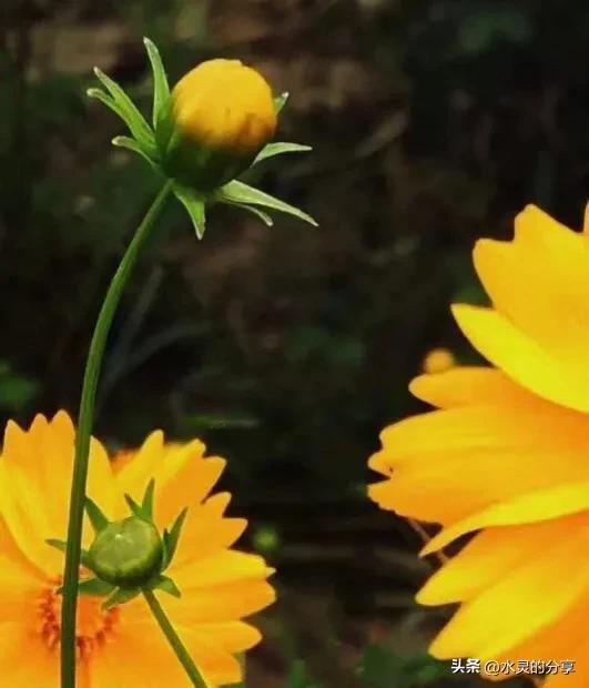 最震撼心灵的话有哪些？那些震撼心灵的句子