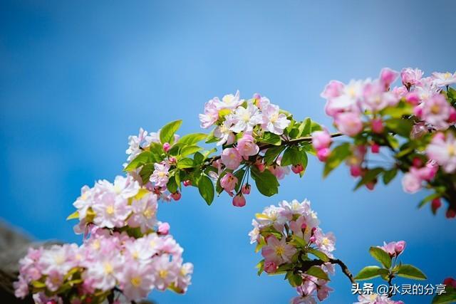最震撼心灵的话有哪些？那些震撼心灵的句子