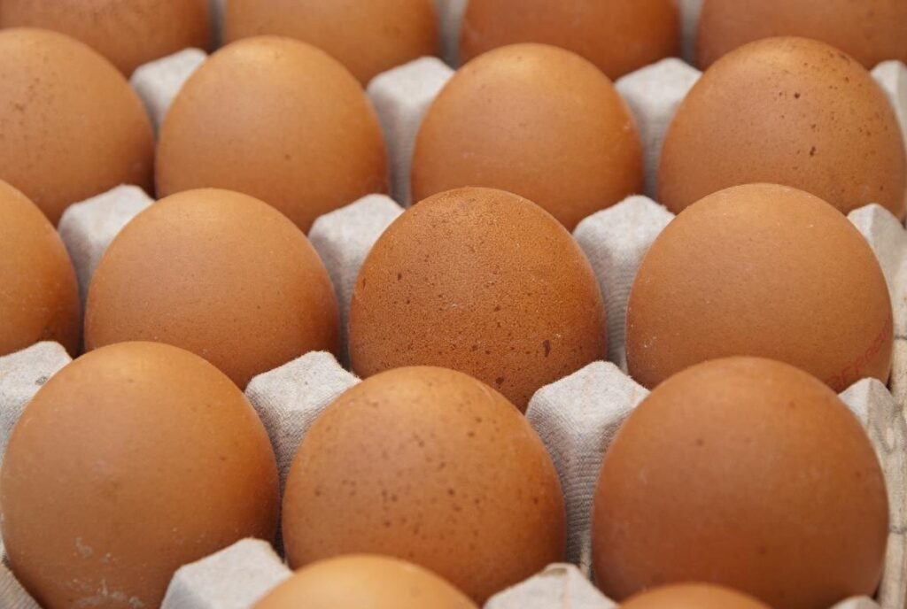 蒸鸡蛋和煮鸡蛋哪个营养好？煮蛋和蒸蛋有什么区别