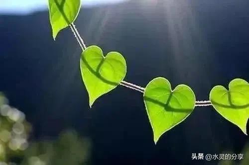 最震撼心灵的话有哪些？那些震撼心灵的句子
