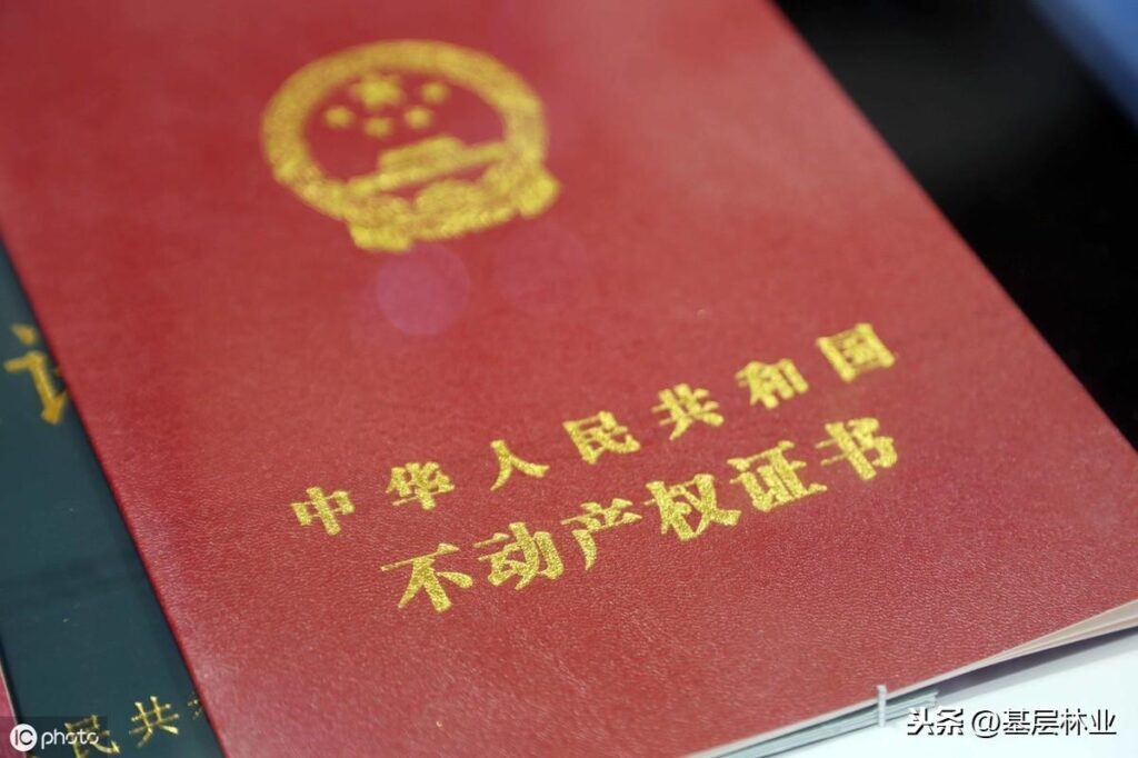 林权证找不到怎么办？林权证怎么补办？