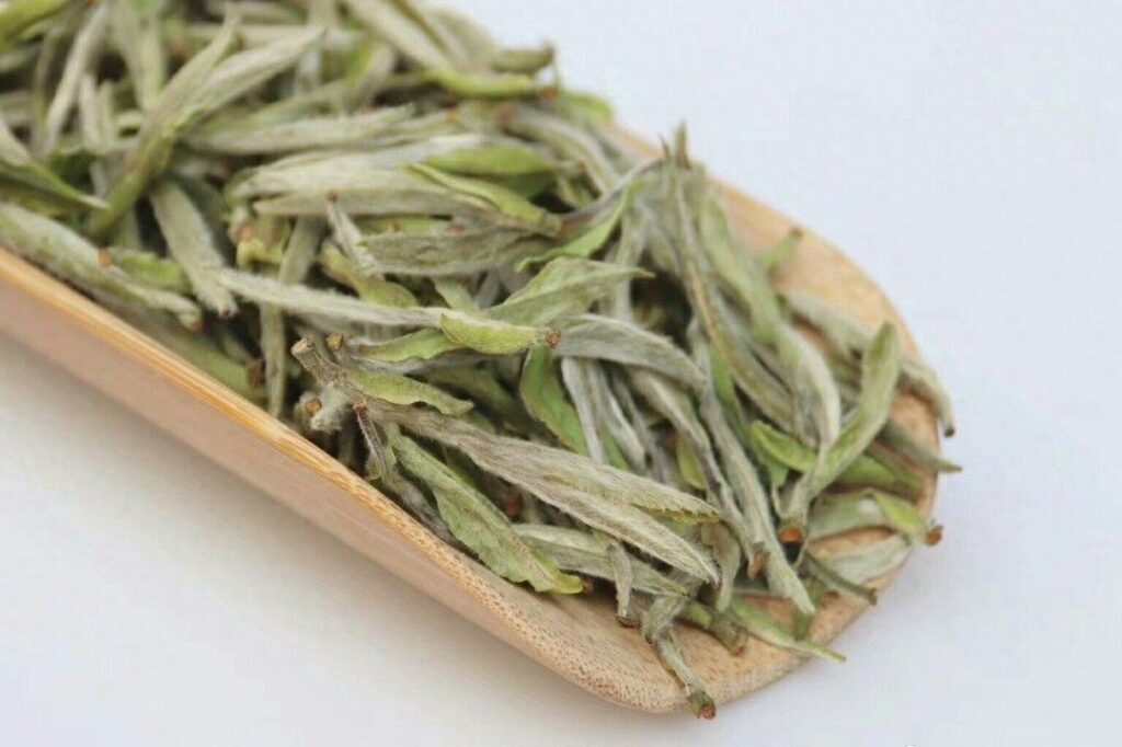 白茶属于哪个茶系？白茶是热性还是凉性？