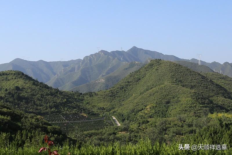 墓地一般多少钱？一般墓地价格表