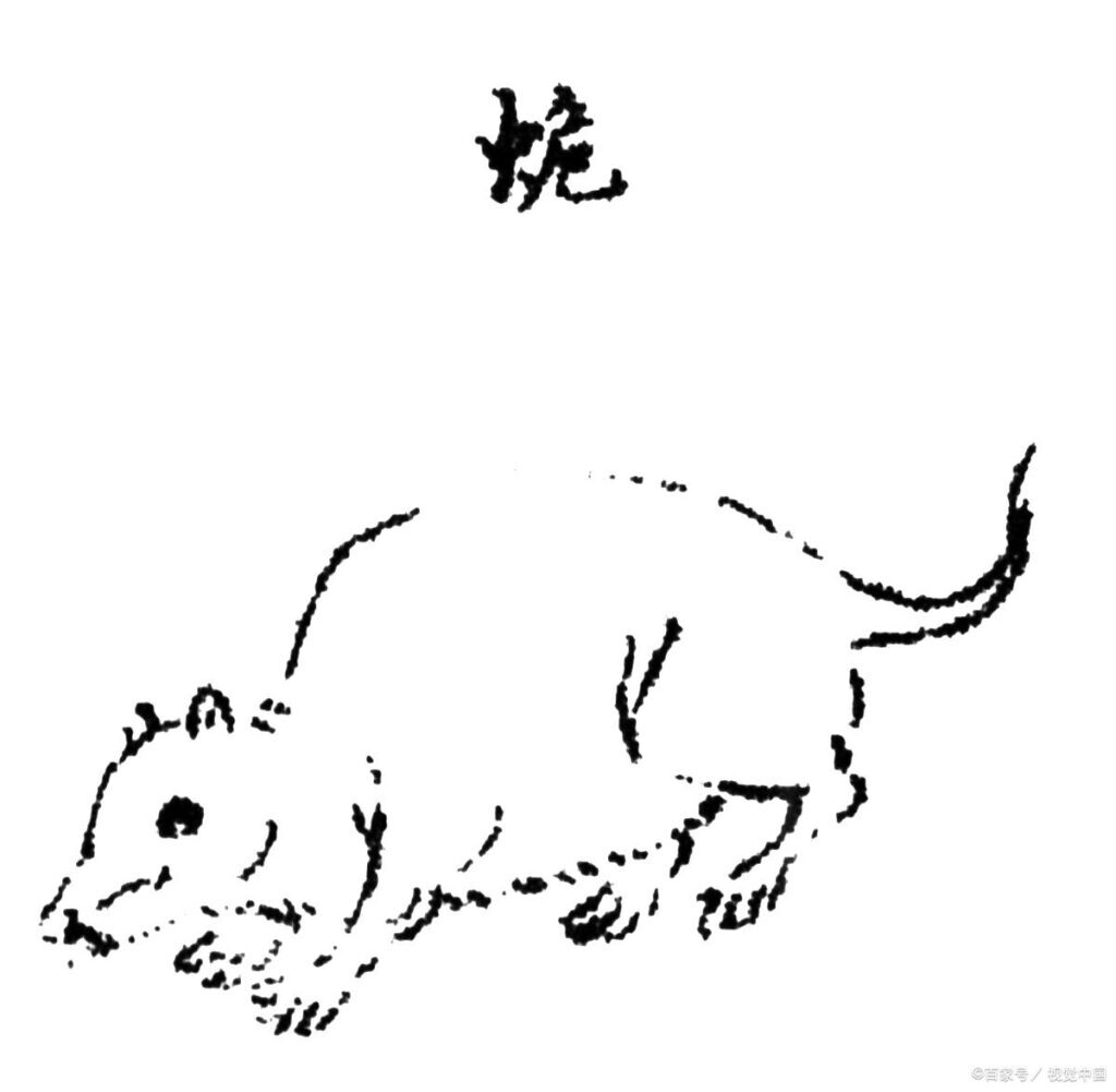 龙的身长多少米？龙的身长与身高