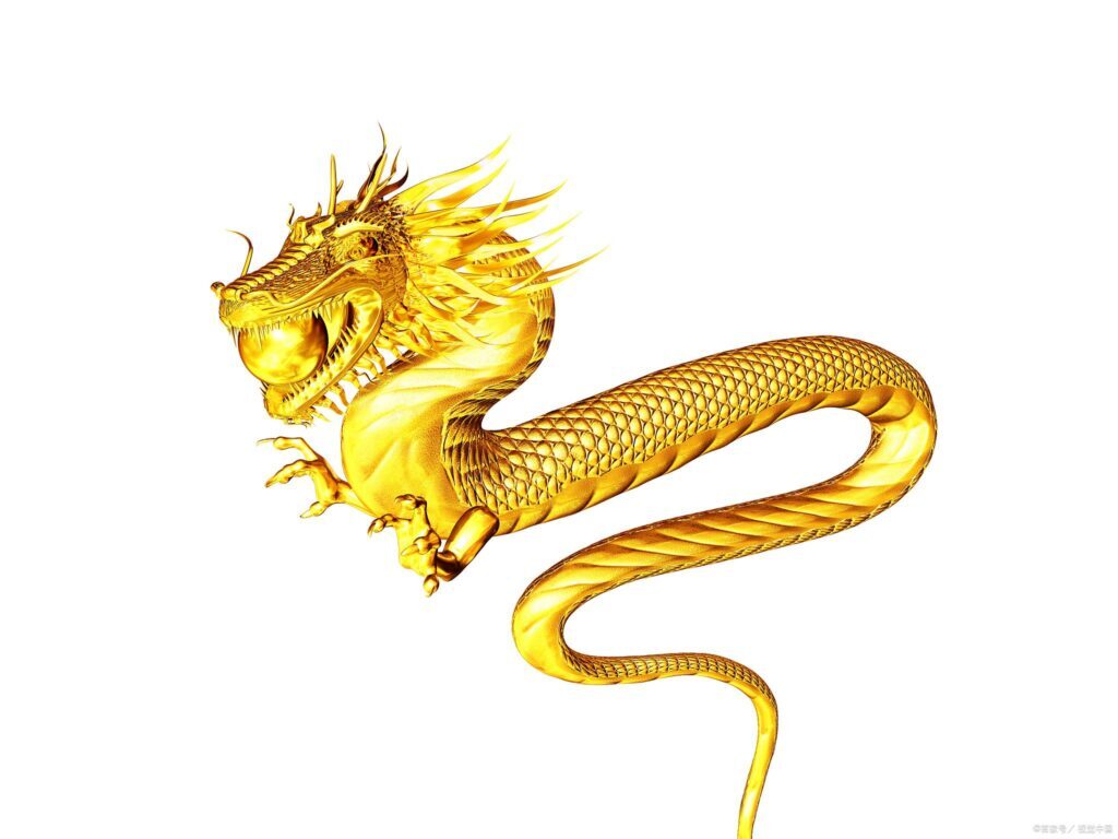 龙的身长多少米？龙的身长与身高