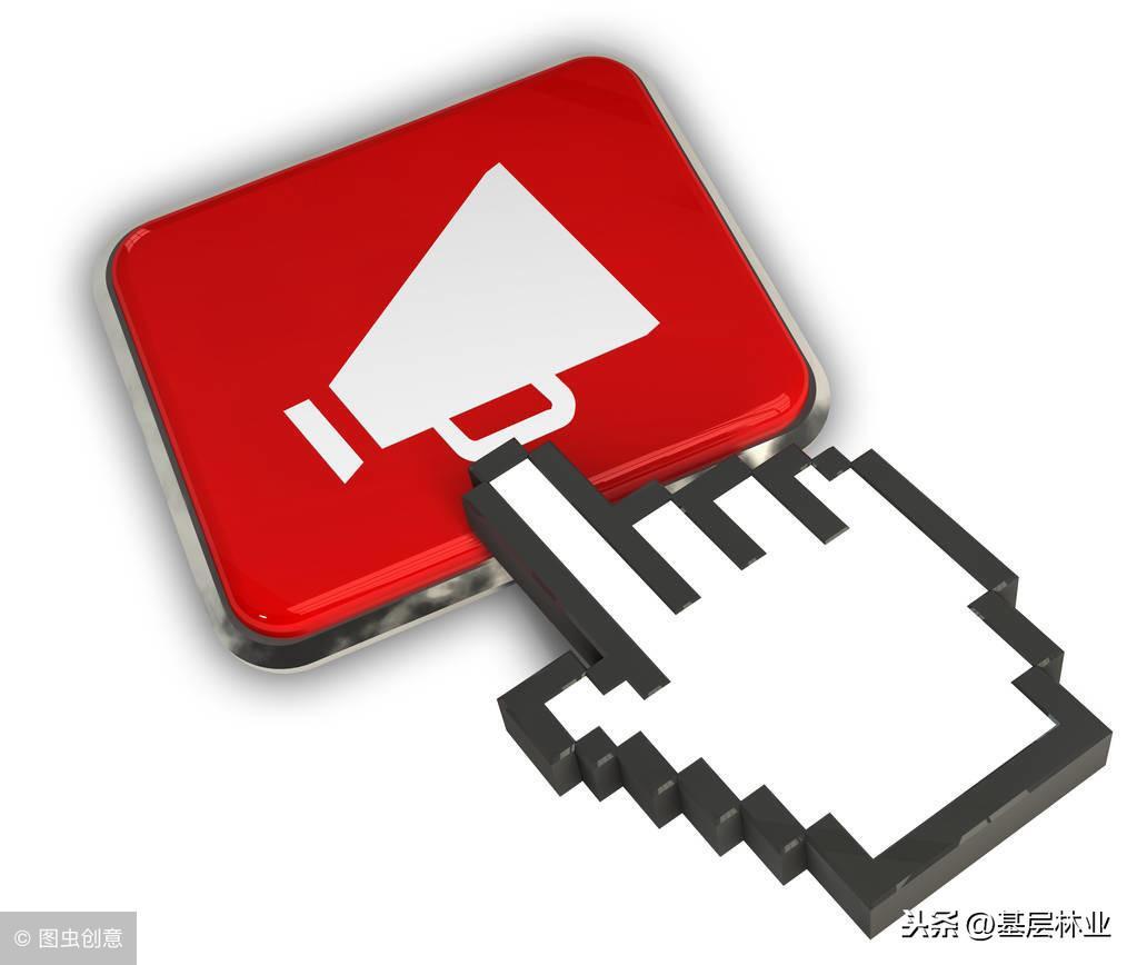 林权证找不到怎么办？林权证怎么补办？