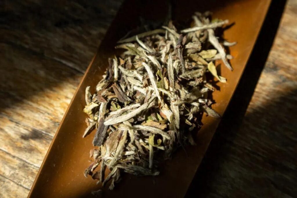 白茶属于哪个茶系？白茶是热性还是凉性？