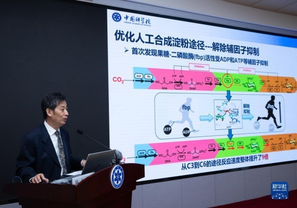 淀粉可以合成吗？淀粉是由什么合成的？