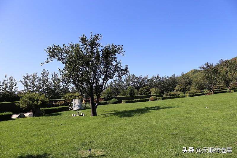 墓地一般多少钱？一般墓地价格表