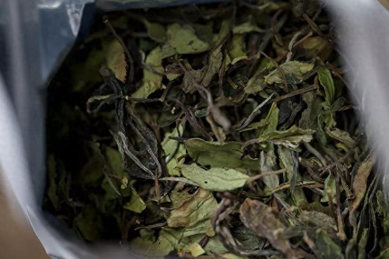 白茶属于哪个茶系？白茶是热性还是凉性？