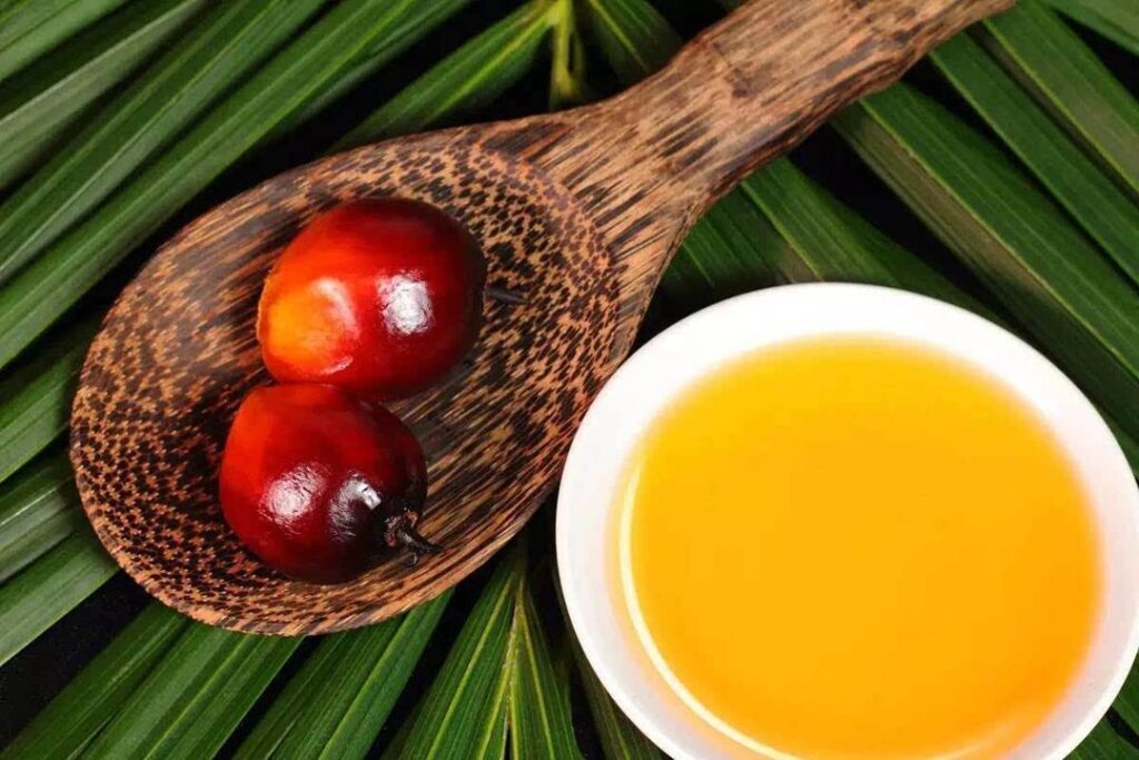 棕榈油是什么油？棕榈油是健康油吗？