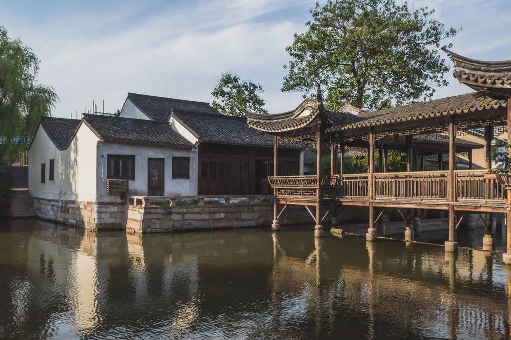 中国什么地方傻子最多？中国各省人智商排名
