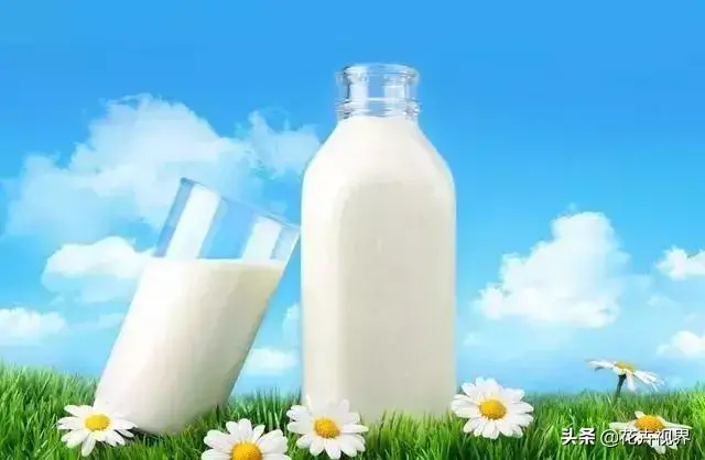 伊利纯牛奶保质期多久？伊利牛奶和蒙牛哪个好？
