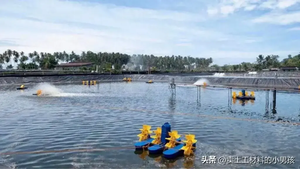 鱼塘防渗膜一般多厚？鱼塘防渗膜怎么施工？