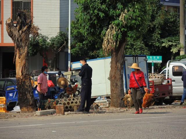 当城管需要考公务员吗 ？当城管需要什么要求？