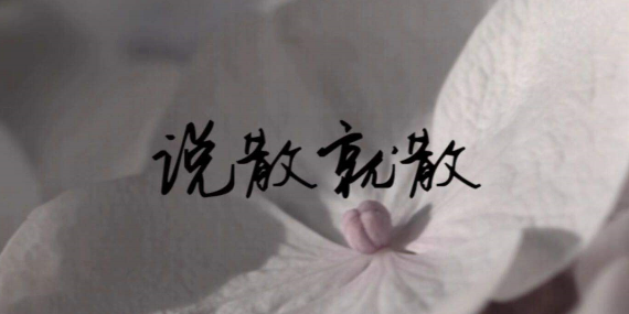歌曲说散就散表达什么 ？歌曲说散就散歌词含义