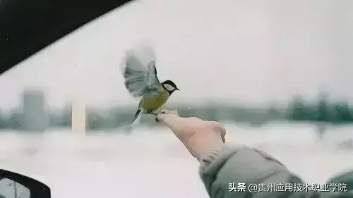 沉默代表什么 ？沉默代表什么心态？