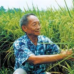 国士无双什么意思 ？国士无双是成语么？