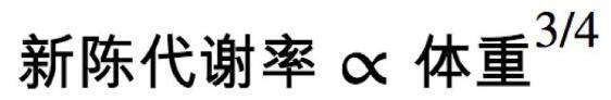 生命的速度是多少？生命时速是什么意思？