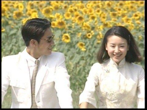 金粉世家剧情是什么？金粉世家原著每个人结局介绍