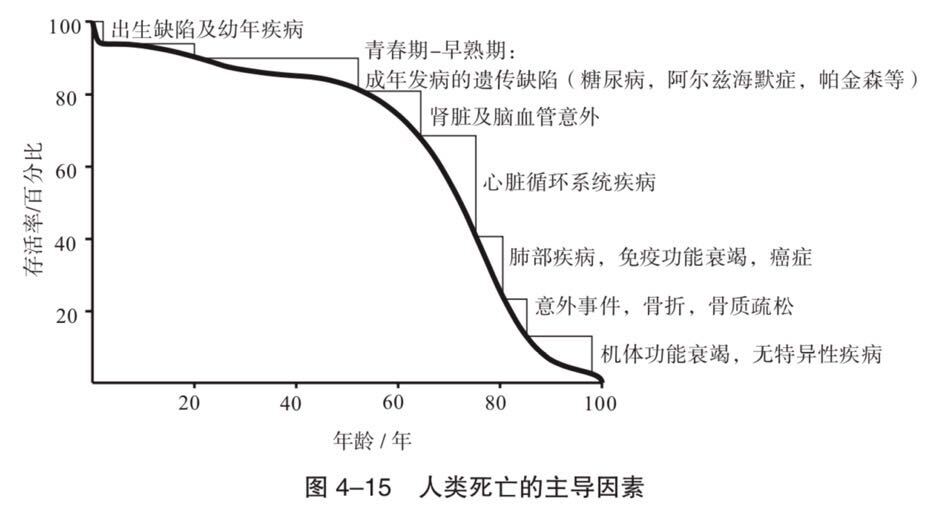 生命的速度是多少？生命时速是什么意思？