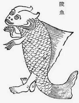 人鱼和鲛人有什么区别？人鱼和鲛人什么关系？