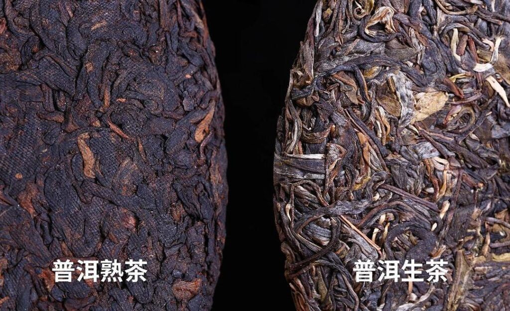 普洱茶产地哪个地方？普洱茶是什么茶种？